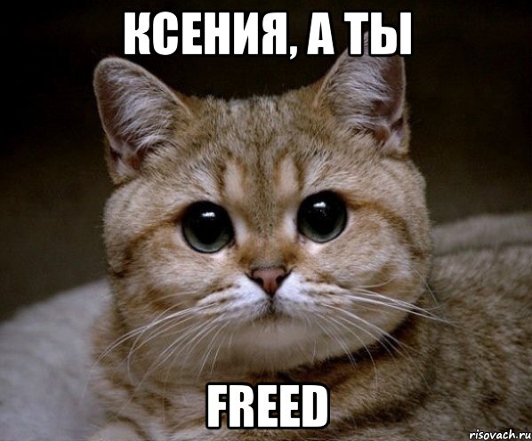 Ксения, а ты Freed, Мем Пидрила Ебаная