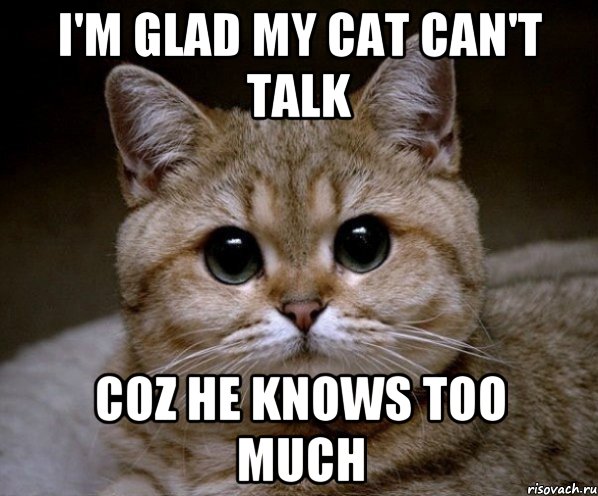 I'm glad my cat can't talk Coz he knows too much, Мем Пидрила Ебаная