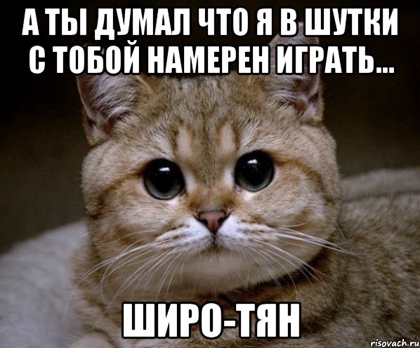 А ты думал что я в шутки с тобой намерен играть... Широ-тян, Мем Пидрила Ебаная