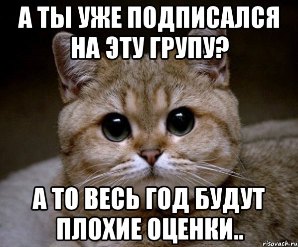 А ты уже подписался на эту групу? а то весь год будут плохие оценки.., Мем Пидрила Ебаная