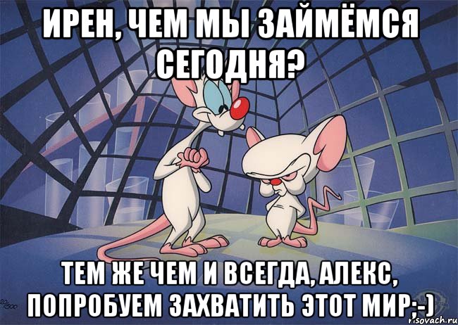 Ирен, чем мы займёмся сегодня? Тем же чем и всегда, Алекс, Попробуем захватить этот мир;-), Мем ПИНКИ И БРЕЙН