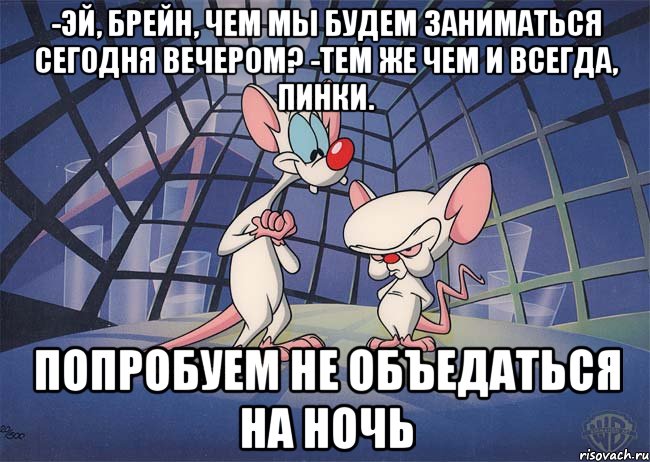 -Эй, Брейн, чем мы будем заниматься сегодня вечером? -Тем же чем и всегда, Пинки. Попробуем не объедаться на ночь, Мем ПИНКИ И БРЕЙН