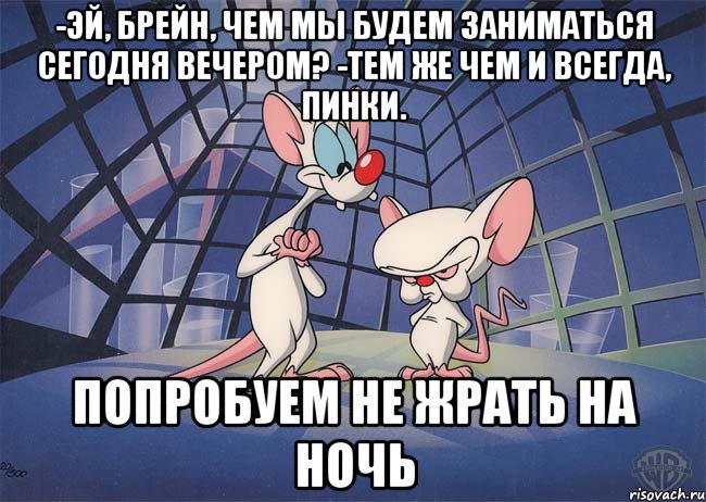 -Эй, Брейн, чем мы будем заниматься сегодня вечером? -Тем же чем и всегда, Пинки. Попробуем не жрать на ночь, Мем ПИНКИ И БРЕЙН