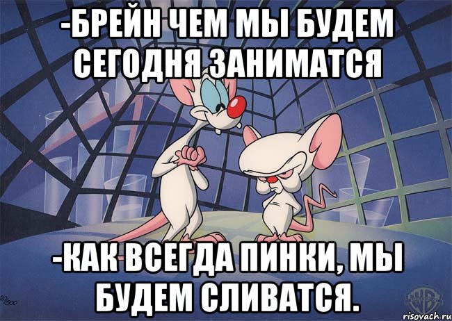 -Брейн чем мы будем сегодня заниматся -Как всегда Пинки, мы будем сливатся.