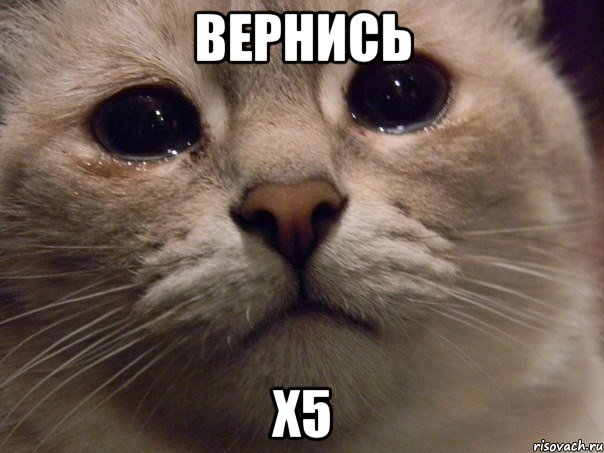 вернись Х5