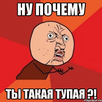 ну почему ты такая тупая ?!, Мем Почему