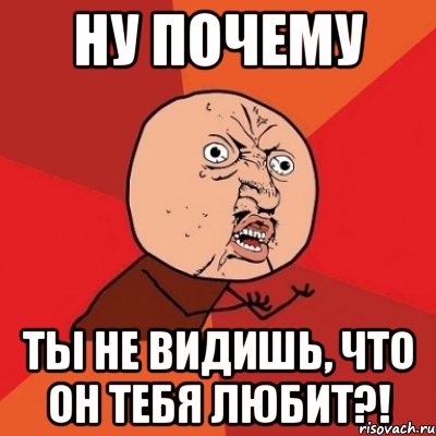 НУ ПОЧЕМУ ТЫ НЕ ВИДИШЬ, ЧТО ОН ТЕБЯ ЛЮБИТ?!, Мем Почему