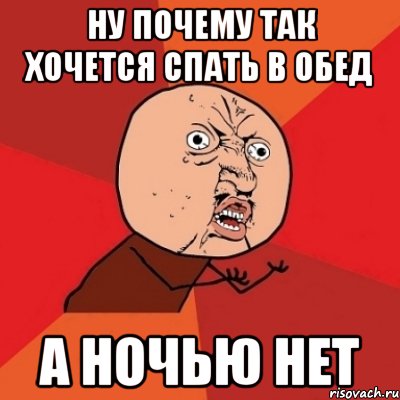 Ну почему так хочется спать в обед а ночью нет, Мем Почему