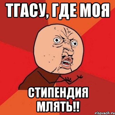 ТГАСУ, где моя стипендия млять!!, Мем Почему