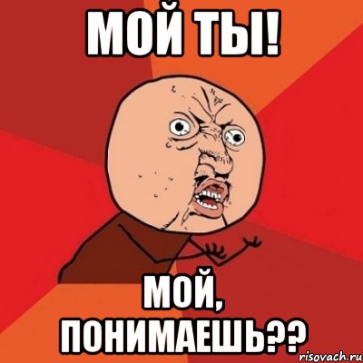 Мой ты! мой, понимаешь??, Мем Почему