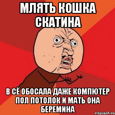 млять кошка скатина в сё обосала даже КОМПЮТЕР ПОЛ ПОТОЛОК И МАТЬ ОНА БЕРЕМИНА, Мем Почему