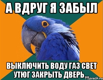 а вдруг я забыл выключить воду газ свет утюг закрыть дверь..., Мем Попугай параноик