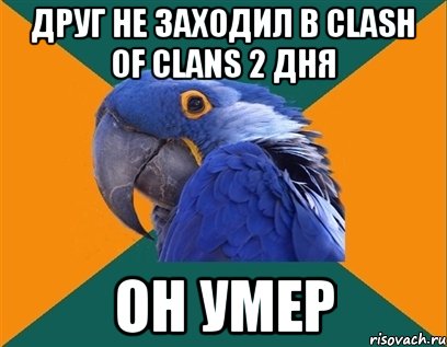 Друг не заходил в Clash of clans 2 дня Он умер, Мем Попугай параноик