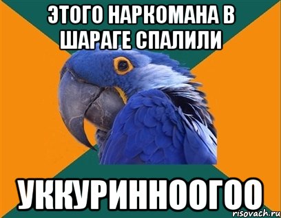 этого наркомана в шараге спалили УККУРИННООГОО, Мем Попугай параноик