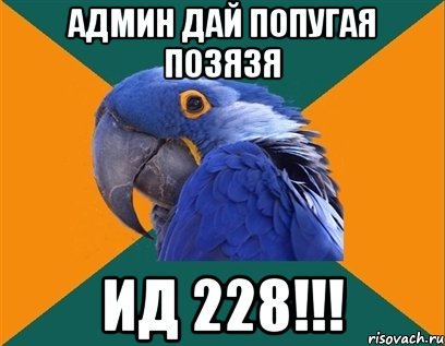 админ дай попугая позязя ид 228!!!, Мем Попугай параноик