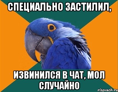 Специально застилил, Извинился в чат, мол случайно, Мем Попугай параноик