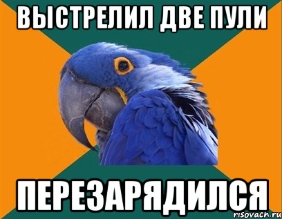 Выстрелил две пули Перезарядился, Мем Попугай параноик