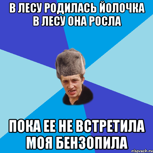 в лесу родилась йолочка в лесу она росла пока ее не встретила моя бензопила, Мем Празднчний паца