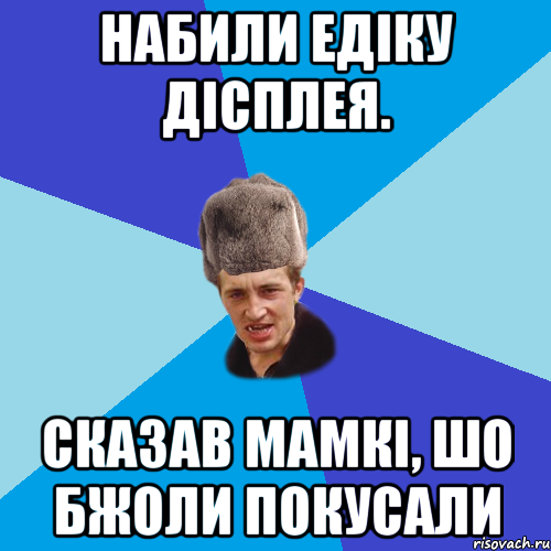 Набили Едіку дісплея. Сказав мамкі, шо бжоли покусали, Мем Празднчний паца