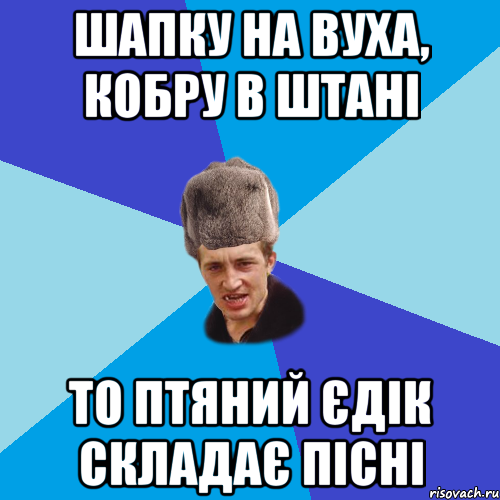 ШАПКУ НА ВУХА, КОБРУ В ШТАНІ ТО ПТЯНИЙ ЄДІК СКЛАДАЄ ПІСНІ, Мем Празднчний паца