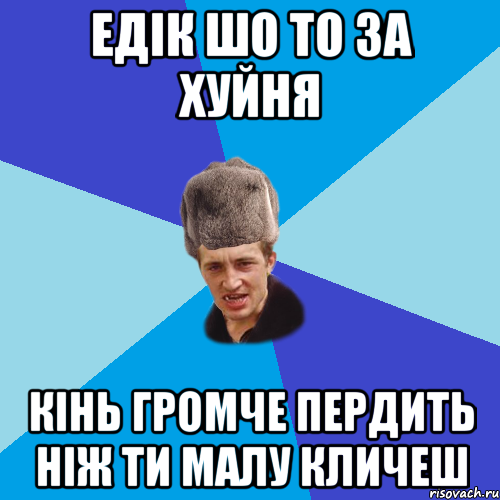 Едік шо то за хуйня кінь громче пердить ніж ти малу кличеш, Мем Празднчний паца