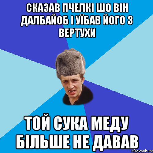 Сказав пчелкі шо він далбайоб і уїбав його з вертухи той сука меду більше не давав, Мем Празднчний паца