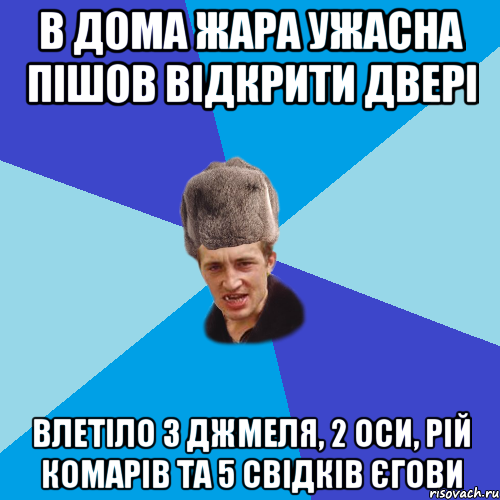 В дома жара ужасна пішов відкрити двері влетіло 3 джмеля, 2 оси, рій комарів та 5 свідків єгови, Мем Празднчний паца