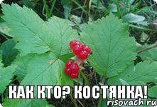 Как кто? Костянка!, Комикс Привет