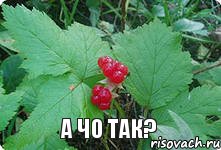 А чо так?, Комикс Привет