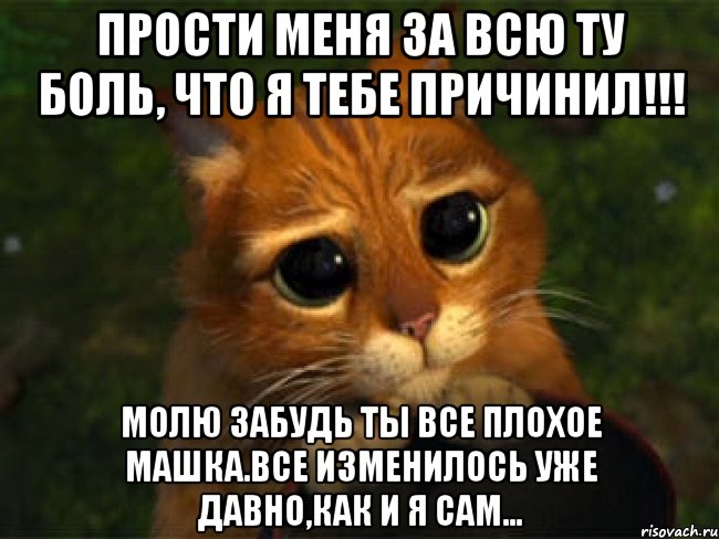 Прости меня за всю ту боль, что я тебе причинил!!! Молю забудь ты все плохое Машка.Все изменилось уже давно,как и я сам...