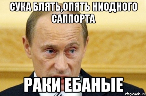 сука блять,опять ниодного саппорта раки ебаные, Мем путин