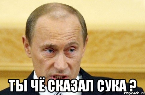  Ты чё сказал сука ?, Мем путин