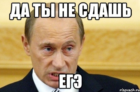 да ты не сдашь егэ, Мем путин