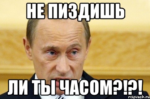 Не пиздишь Ли ты часом?!?!, Мем путин