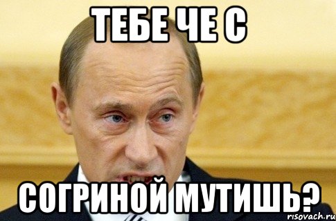 тебе че с согриной мутишь?, Мем путин