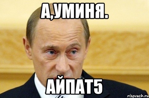 а,уминя. Айпат5, Мем путин