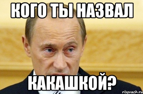 кого ты назвал какашкой?, Мем путин