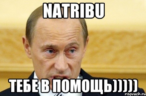 natribu тебе в помощь))))), Мем путин