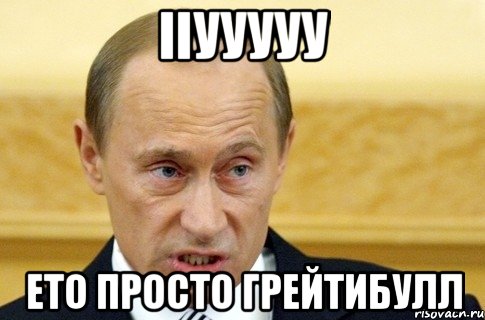 ііууууу ето просто грейтибулл, Мем путин