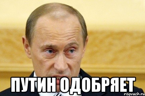  Путин одобряет, Мем путин