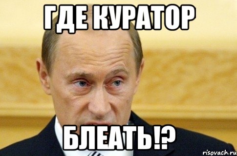 Где куратор Блеать!?, Мем путин