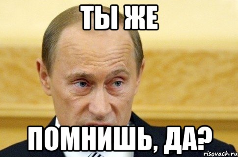 ты же помнишь, да?, Мем путин