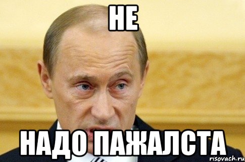 Не Надо пажалста, Мем путин