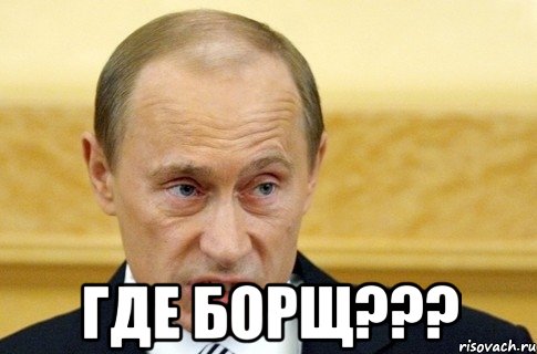  ГДЕ БОРЩ???, Мем путин