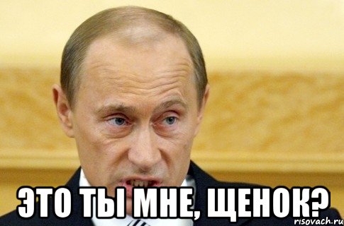  Это ты мне, щенок?, Мем путин