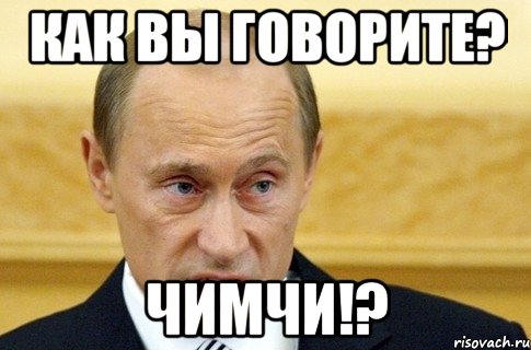 Как вы говорите? Чимчи!?, Мем путин