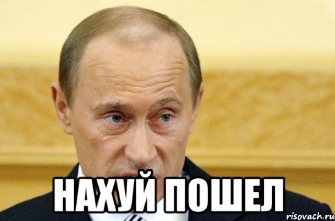  Нахуй пошел, Мем путин