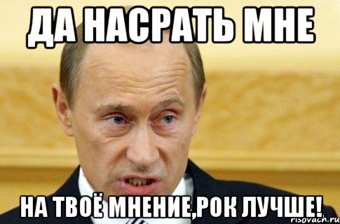 да насрать мне на твоё мнение,рок лучше!, Мем путин