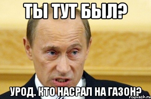 ты тут был? урод. кто насрал на газон?, Мем путин