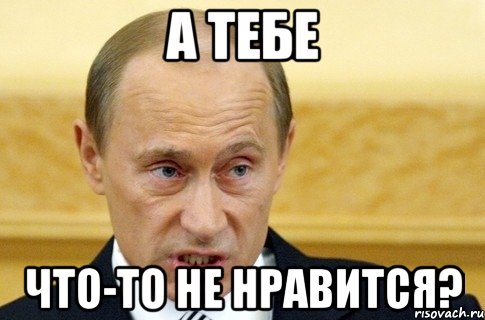 а тебе что-то не нравится?, Мем путин